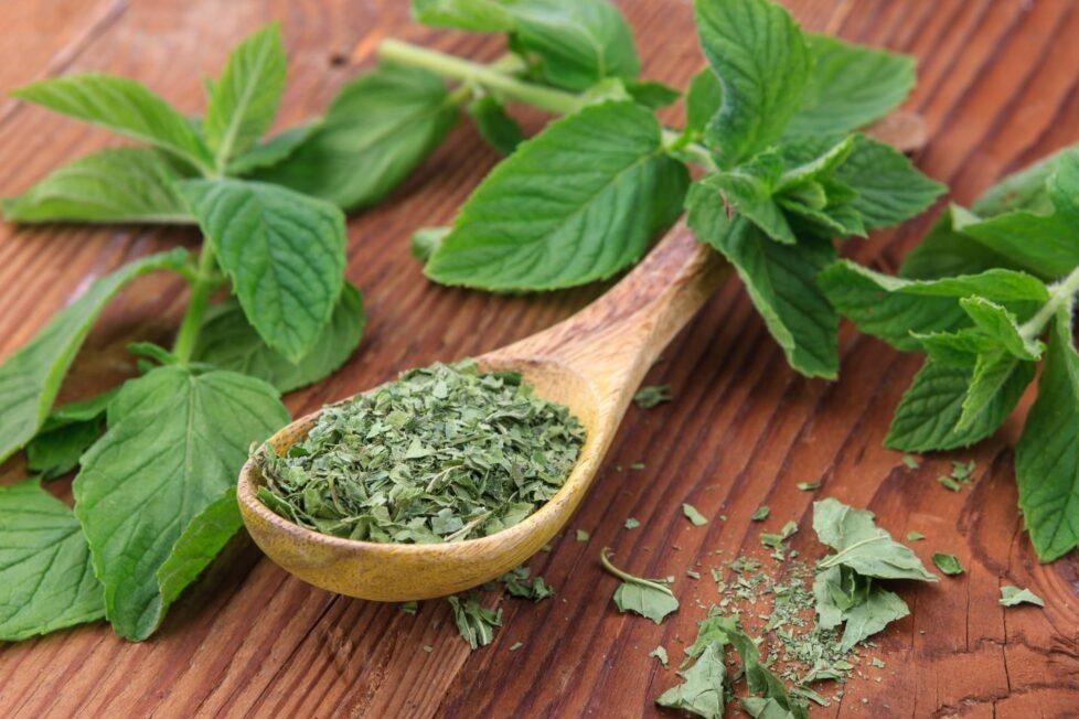 نعنا خشک (50 گرمی)