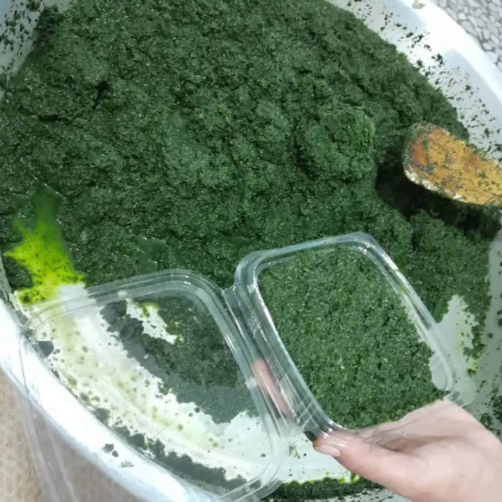 دلال ماست کیلویی 