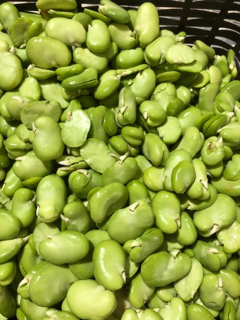 باقالی سبز کیلویی