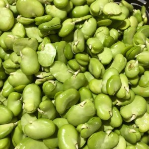 باقالی سبز کیلویی