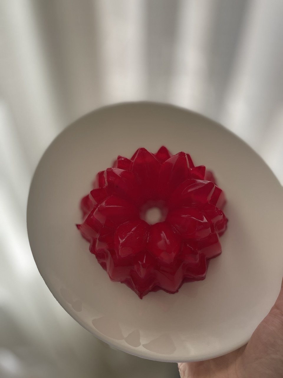 دسر ژله انواع مختلف - تصویر 2