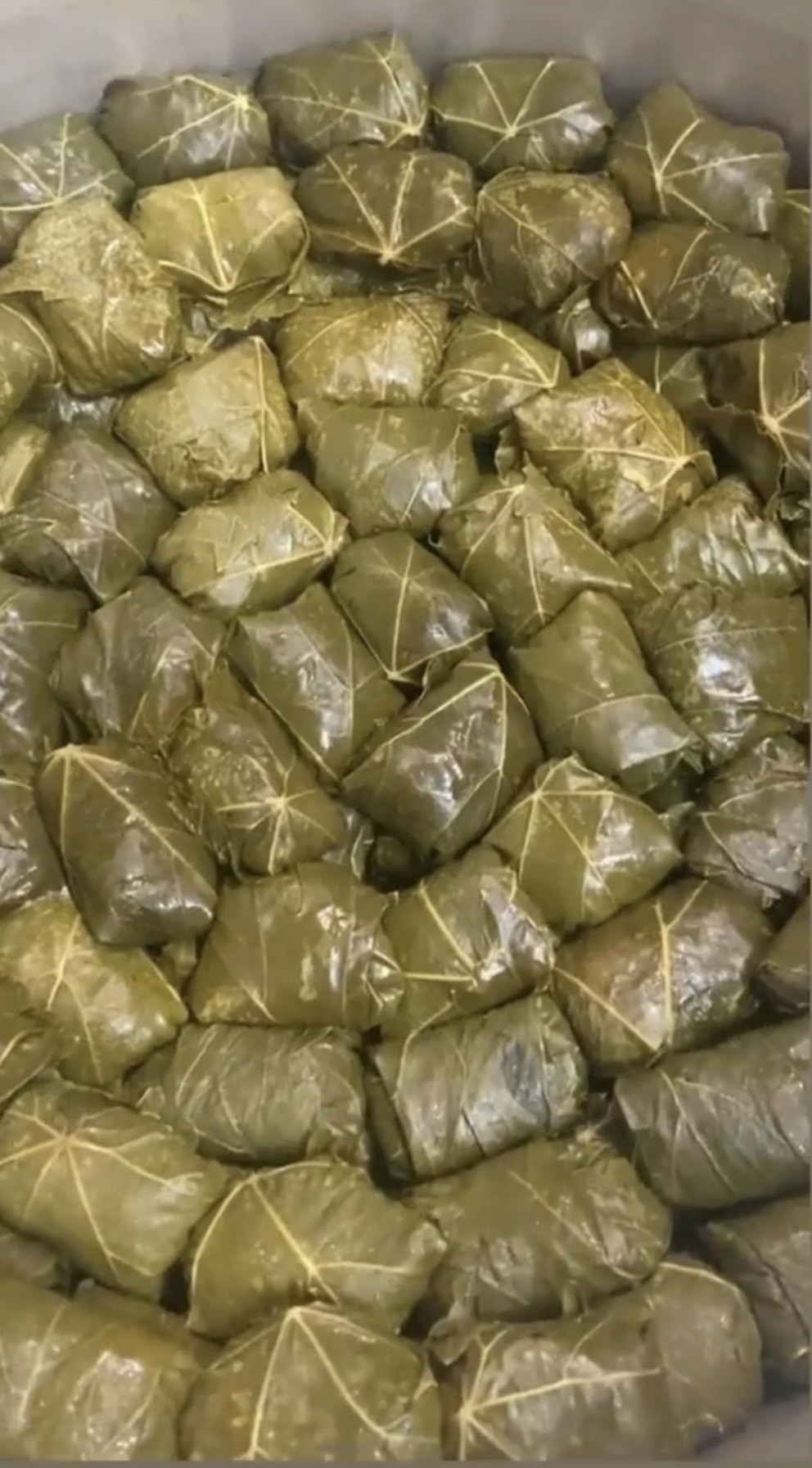 دلمه برگ مو - تصویر 1