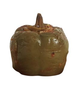 دلمه فلفل آماده طبخ (۶ عددی)