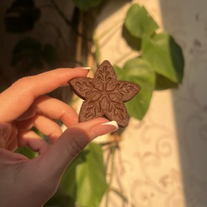 کوکی کره ای و کاکائویی پک ۲۰ عددی - تصویر 2