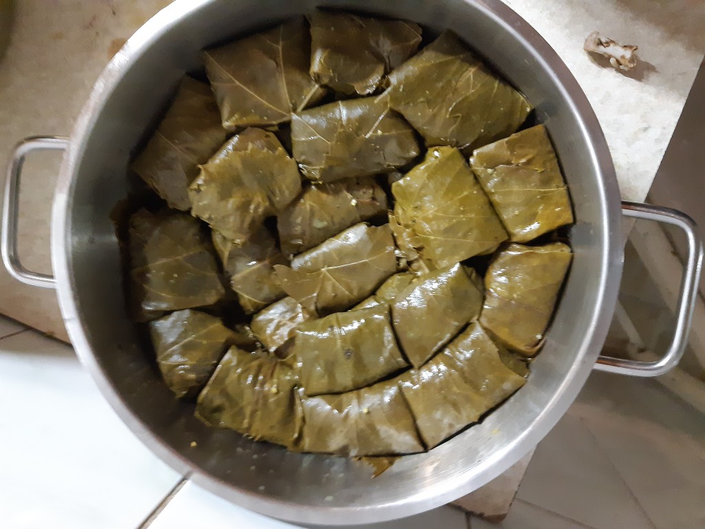 دلمه - تصویر 2