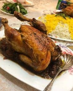 مرغ شکم پر شمالی