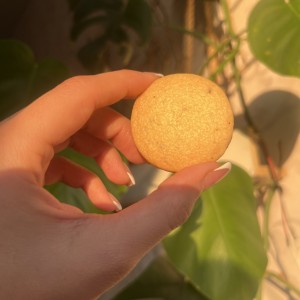 کوکی کره ای و کاکائویی پک ۲۰ عددی - تصویر 3