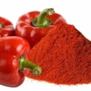 پودر پاپریکا(۱۰۰ گرمی )