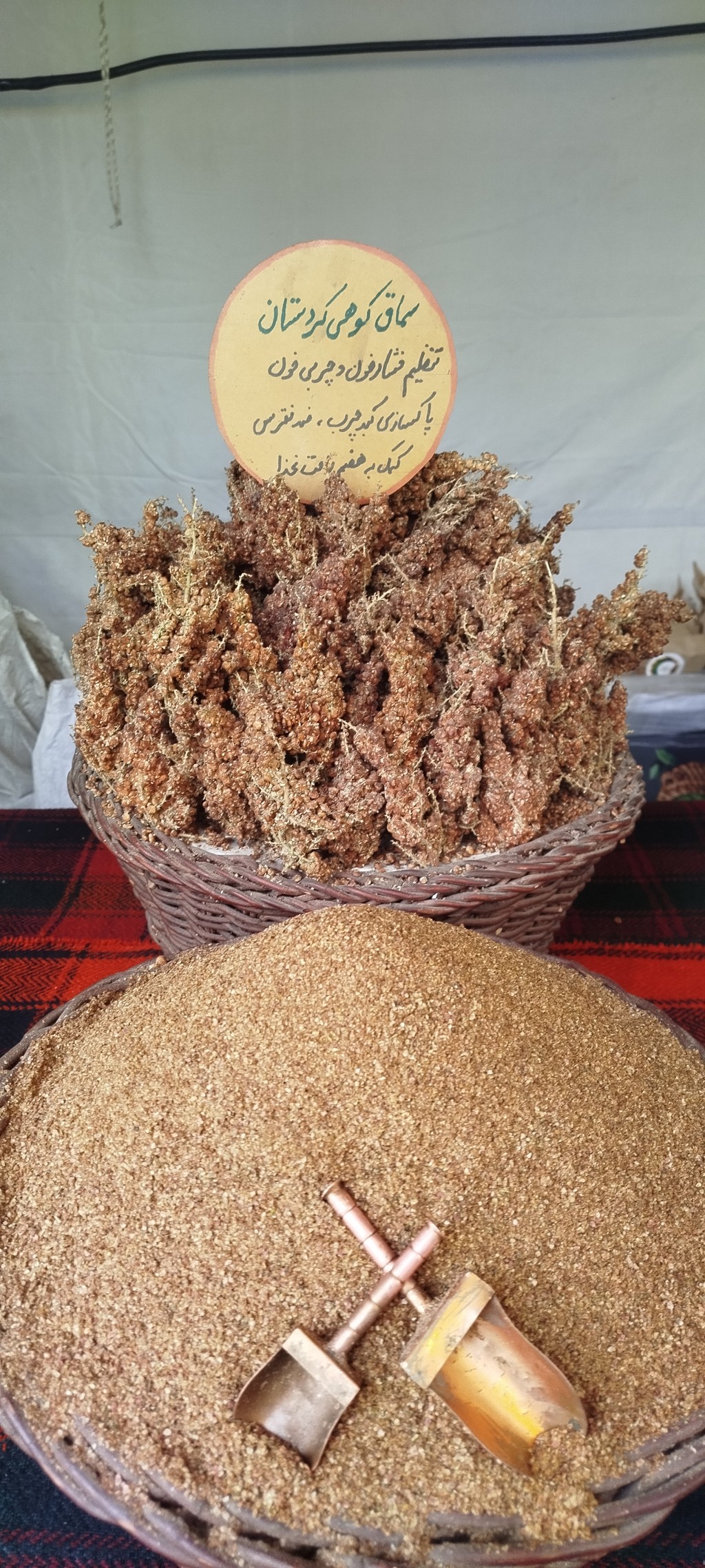 سماق کوهی کردستان