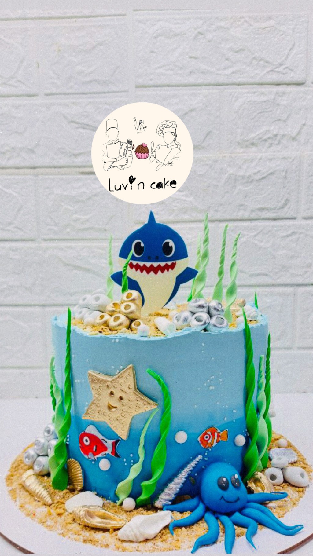 کیک دریایی  - تصویر 1