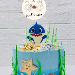 کیک دریایی  - تصویر 1