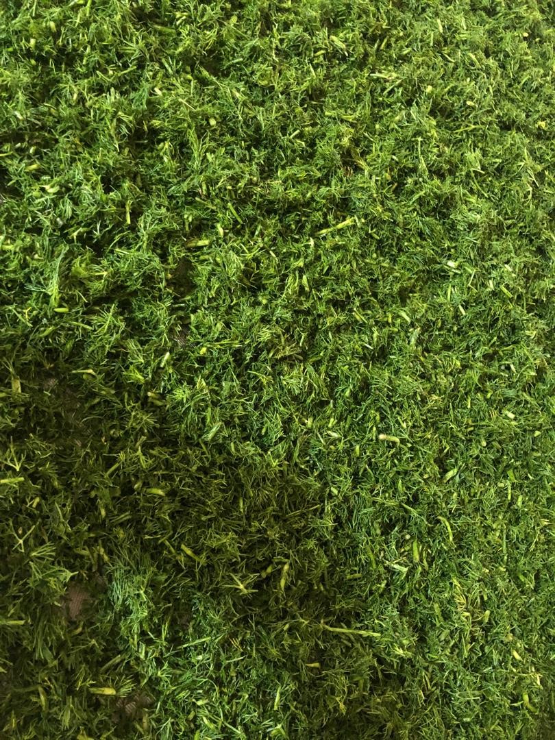 شویدخشک کیلویی