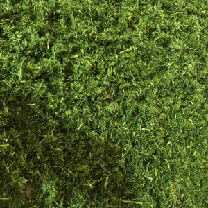 شویدخشک کیلویی