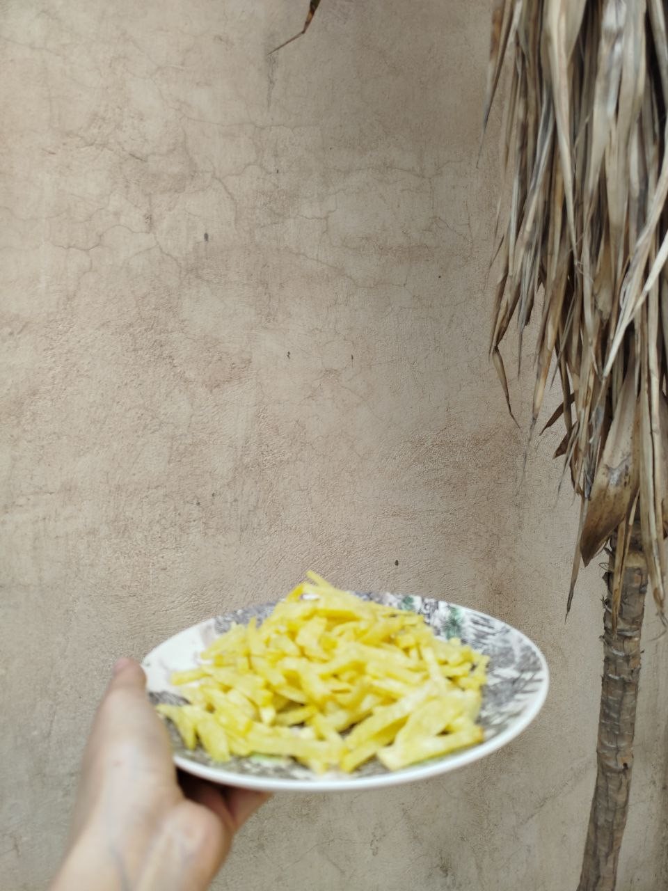 قیمه  - تصویر 1