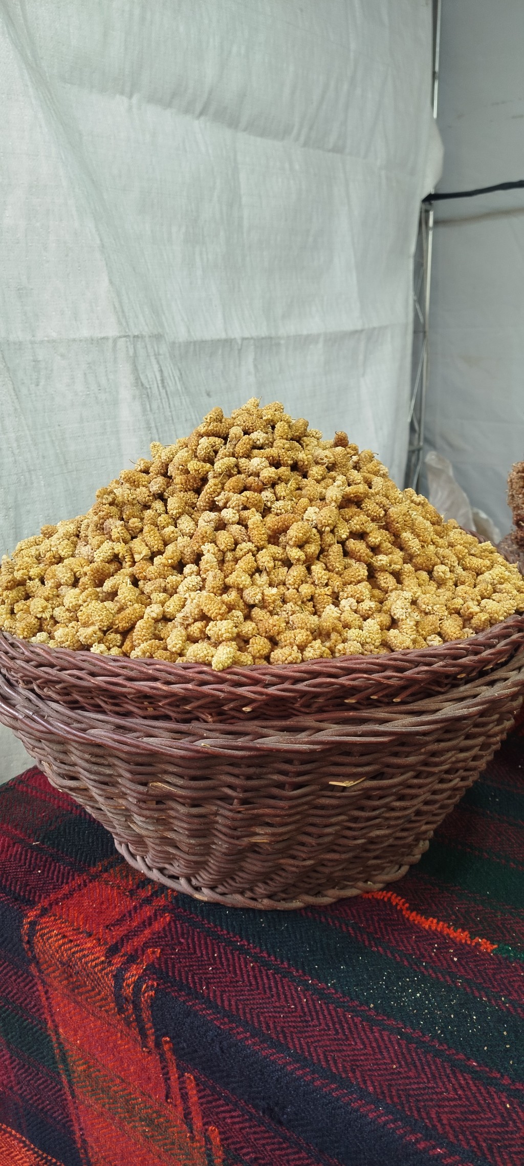 توت خشک اورامال کردستان 