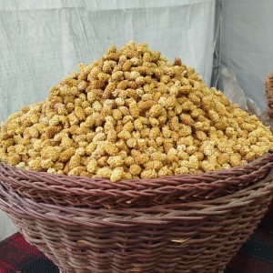 توت خشک اورامال کردستان 